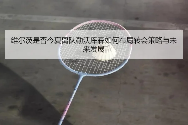 维尔茨是否今夏离队勒沃库森如何布局转会策略与未来发展