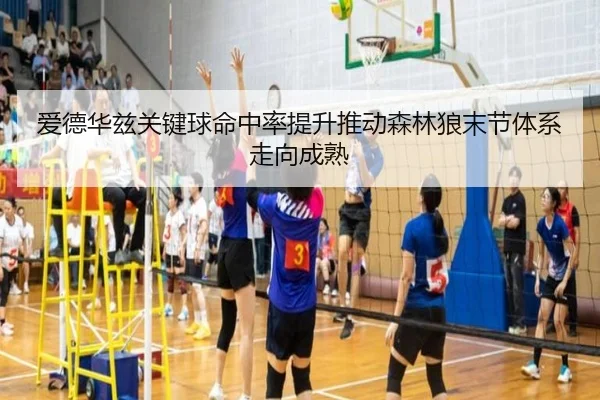 爱德华兹关键球命中率提升推动森林狼末节体系走向成熟